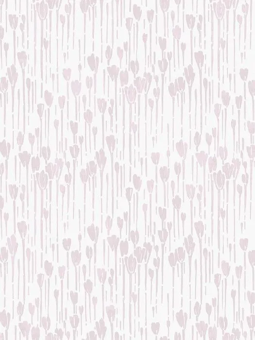 DM1 001