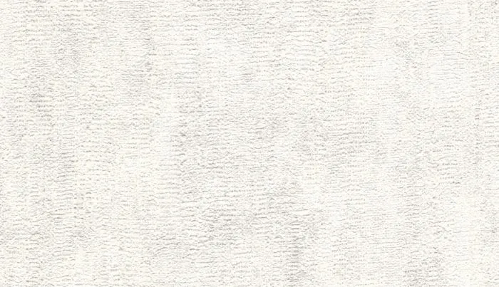 US 1003_1
