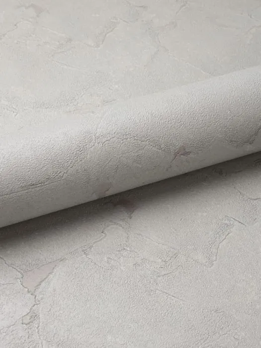 R 24004_1