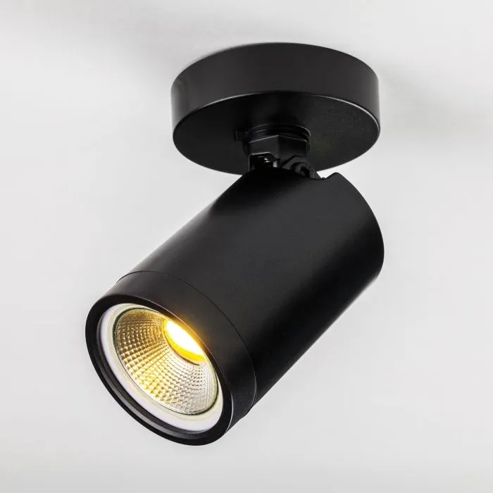 Светильник термостойкий PVC накладной д/LED источника света Rullo Lightstar 213407 | Дом Декора