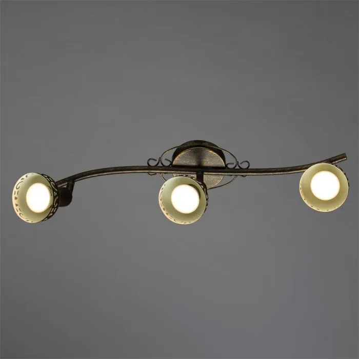 Спот Arte Lamp FOCUS A5219PL-3BR | Дом Декора