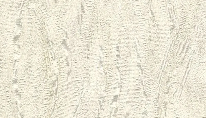 US 1203_1