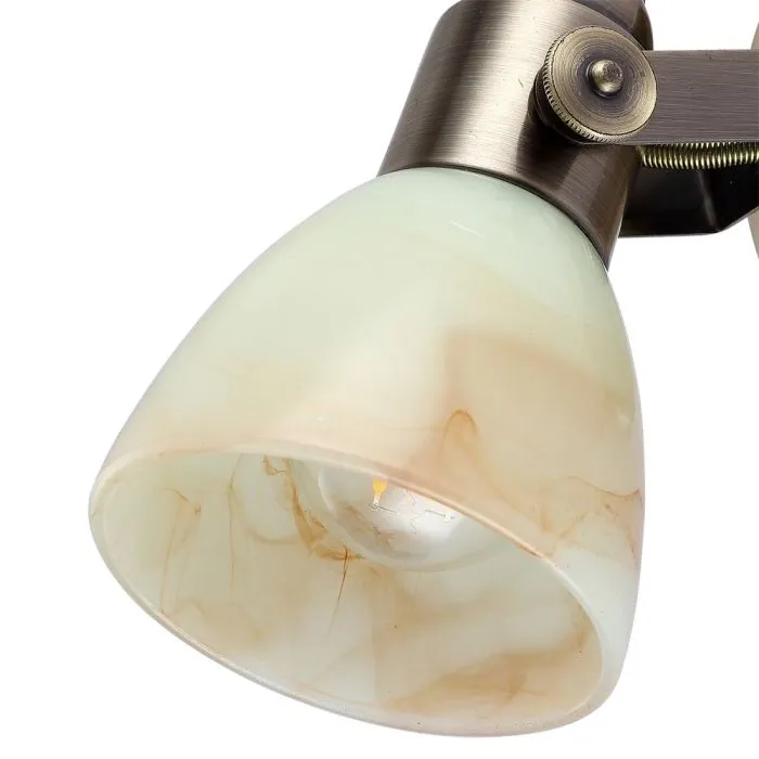 Спот Arte Lamp TULIP A9582AP-1AB | Дом Декора