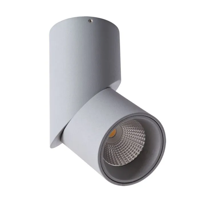 Спот Arte Lamp ORIONE A7717PL-1GY | Дом Декора