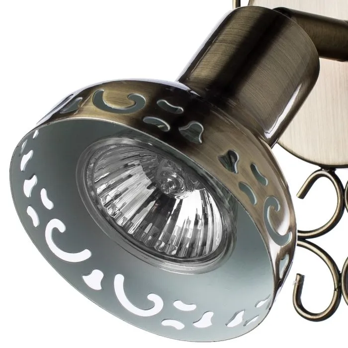 Спот Arte Lamp FOCUS A5219AP-1BR | Дом Декора