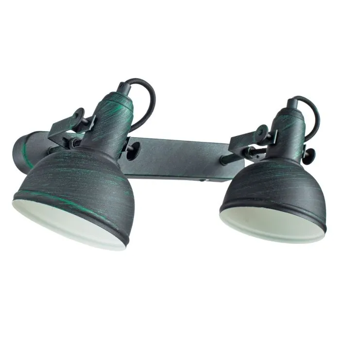 Спот Arte Lamp MARTIN A5213AP-2BG | Дом Декора