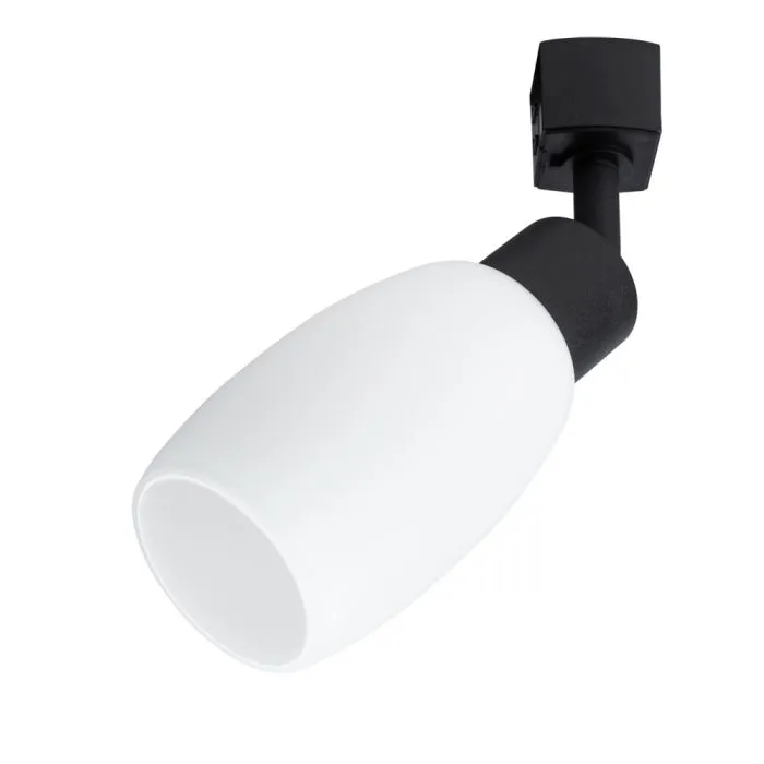 Трековый светильник Arte Lamp MIIA A3055PL-1BK | Дом Декора