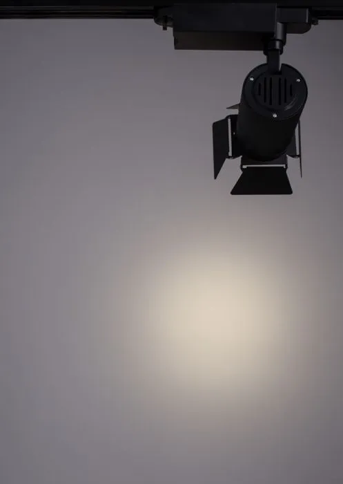 Трековый светильник Arte Lamp FALENA A6720PL-1BK | Дом Декора