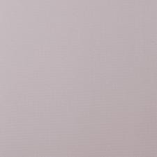 Обои Andrea Rossi Cavolli 54420-5