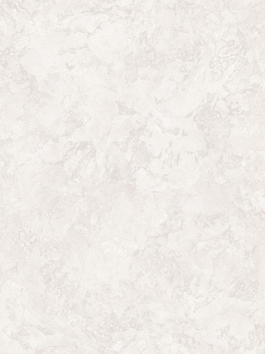 A75503