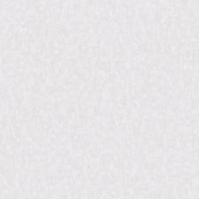 Обои Bernardo Bartalucci Carlotta 84212-2