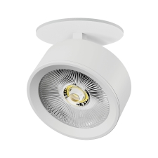 Светильник встраиваемый LED 30W со встроенной чашей Alta Pro Lightstar A5636RS