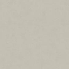 Обои Cassanie Simply SP108