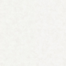 32316