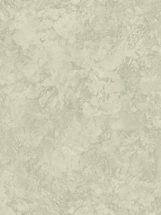 A75504